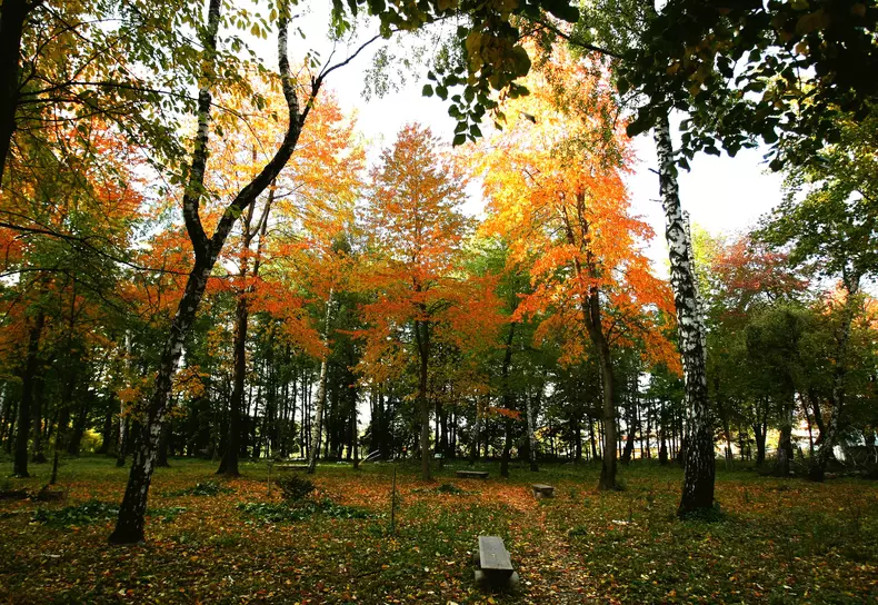 tărâmul de poezie al lui Mihai Eminescu - Codrii de aramă și Pădurea de argint (18)