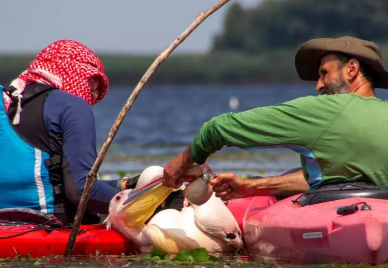 220189911_2806912566306276_8915775957070391105_n