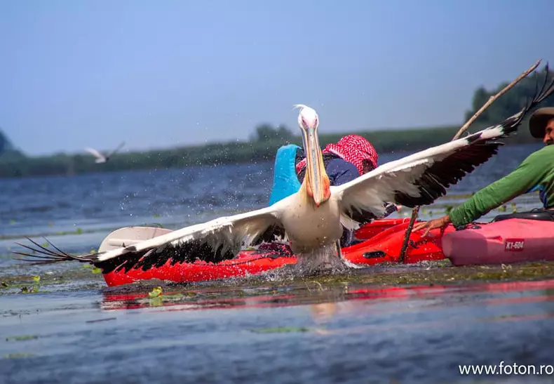 221552763_2806912789639587_2575197729349807942_n