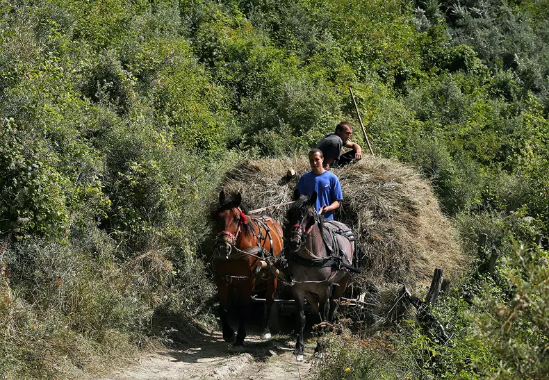 sat-parasit-dumitru-angelescu-img3318