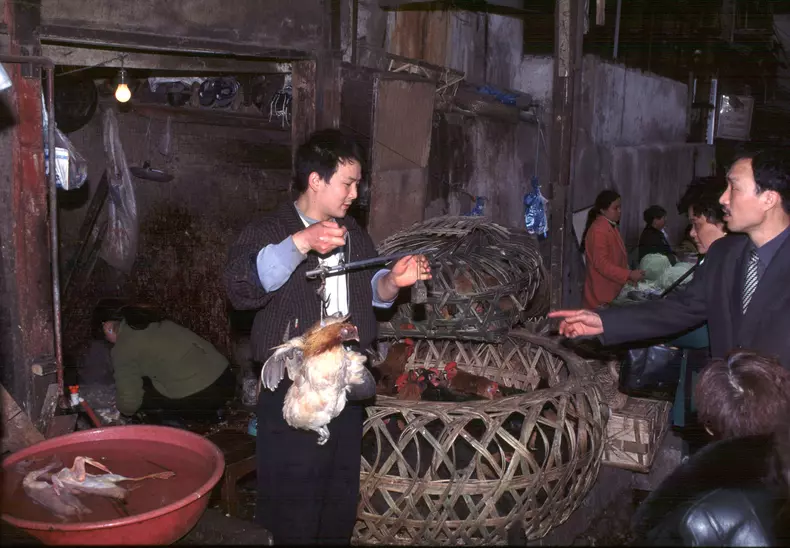 piata ilegala de animale wuhan