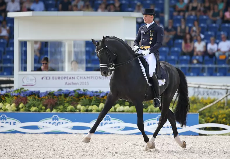FEI European Championships 2015