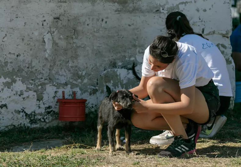 studenti turci voluntari aspa bucuresti vlad chirea