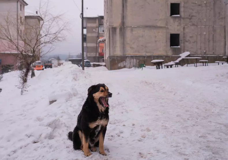 anina-vlad-chireascf6431