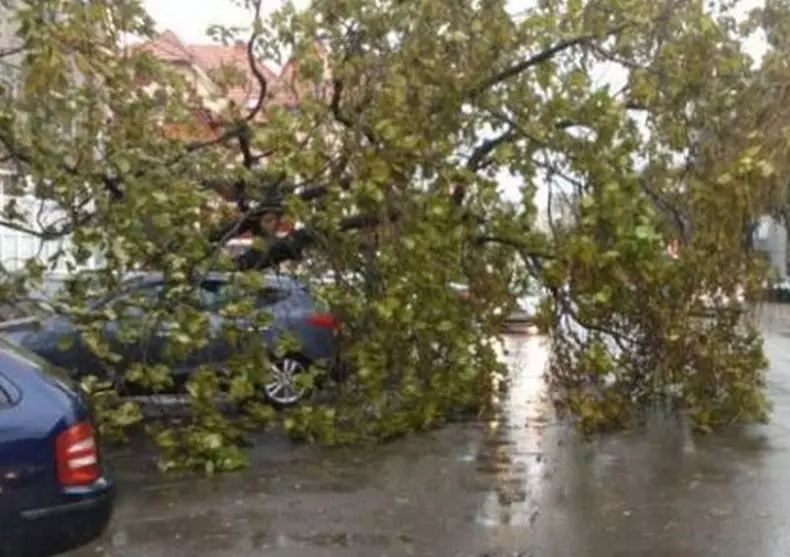 furtuna-copaci cazuti-bistrita nasaud