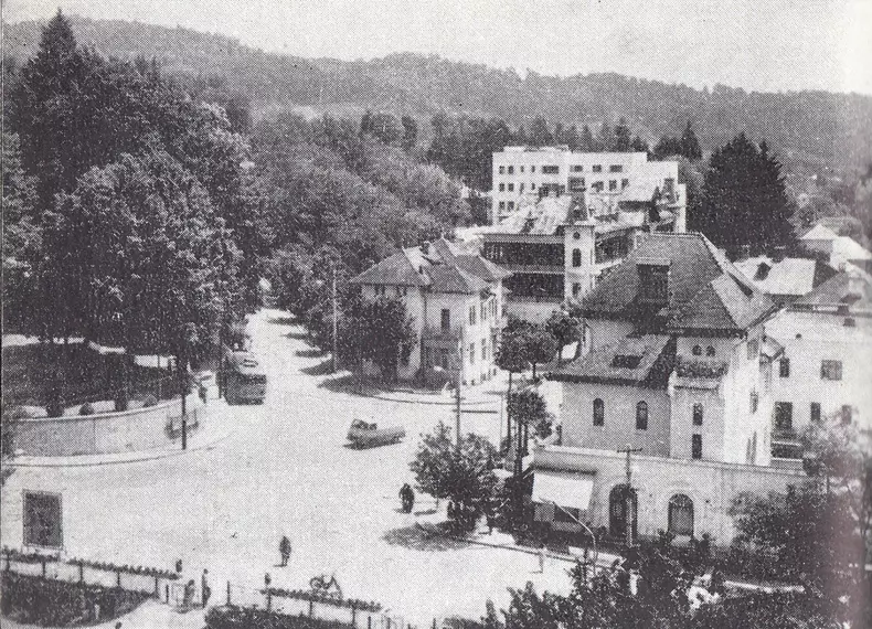 Stefanescu aeriana