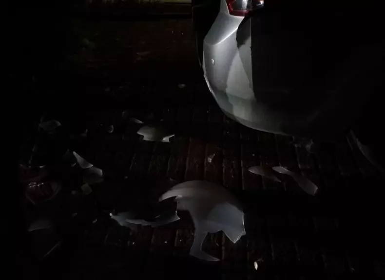 a intrat cu mașina în hotelul Grand Hotel Italia din Cluj (2)