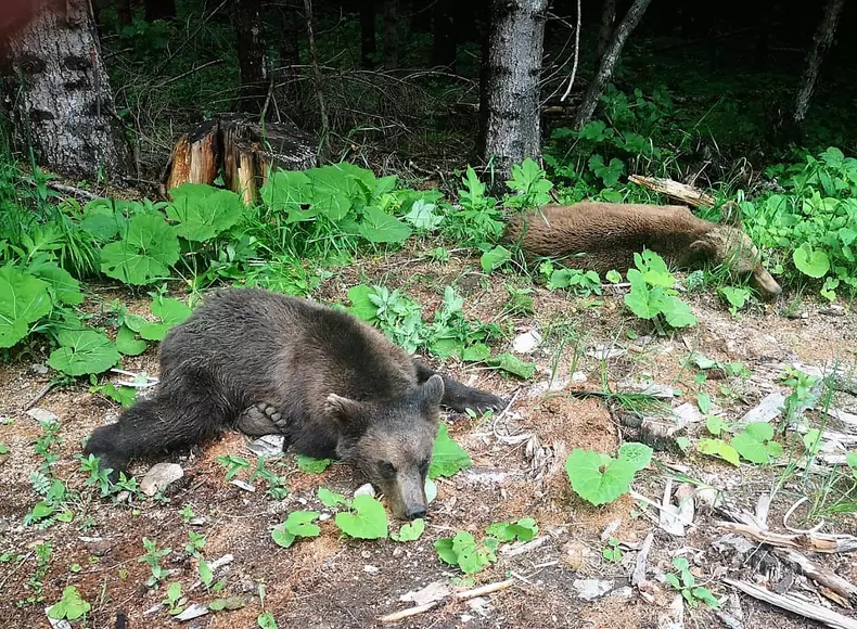 201757980_1140511809782415_1564930293588456521_n