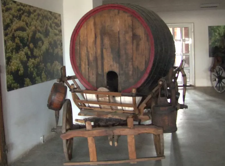 cadoul lui Nicolae Ceaușescu aleea lui Ceaușescu 1