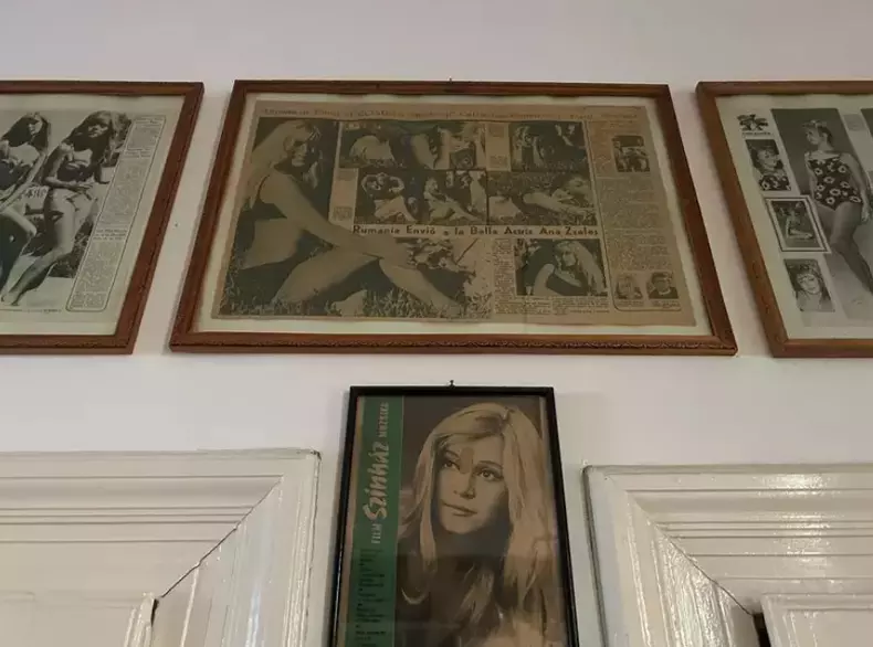 apartamentul Annei Szeles din Budapesta (5)
