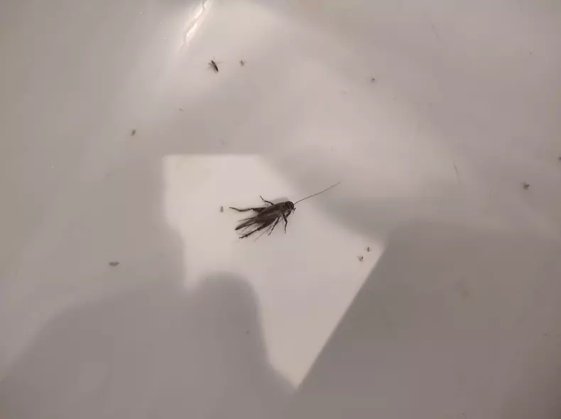 f7b65023-f328-4696-ae1b-188b03c89934