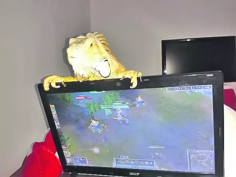 8-pepe_3.jpg