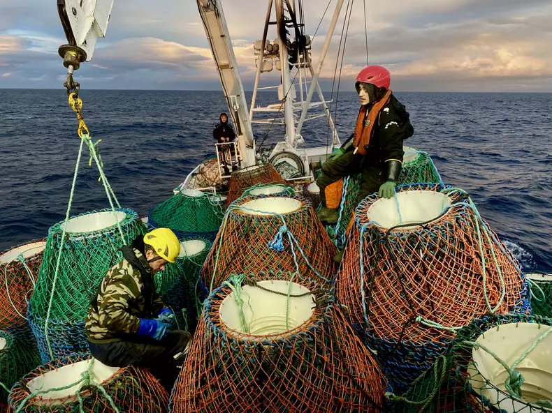 5FAF0303-17A8-4842-87BF-8518FF670FB8