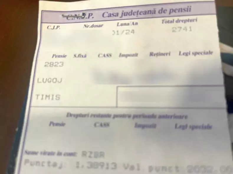 psd-pensii-pnl-timis-1