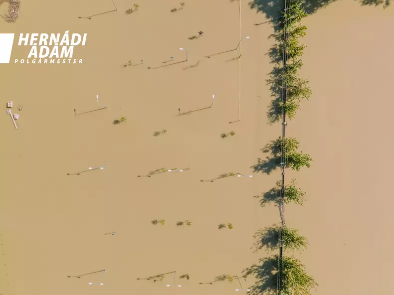 460833158_1058184799650592_1107599170108899126_n