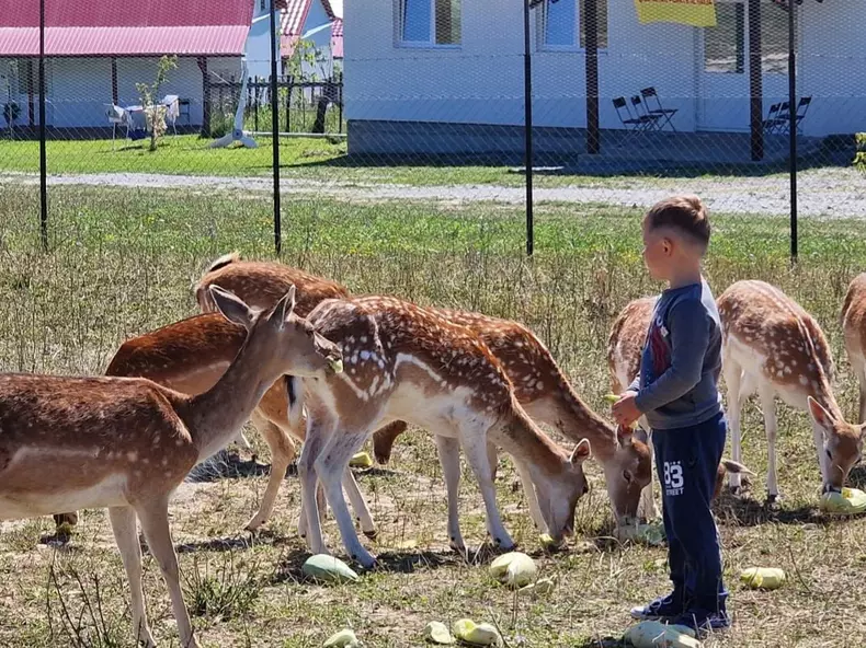 Imagine postată de Viorel Pașca pe pagina lui de Facebook 4_n