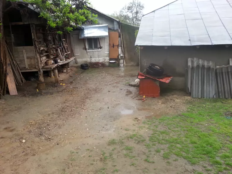 POZE NEGRILESTI CAINI