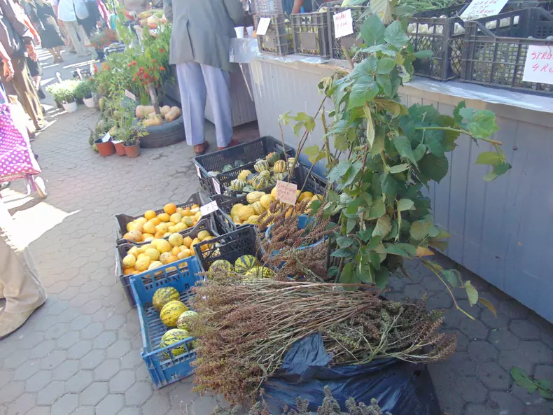 targ toamna preturi hora mici pastrama (20)