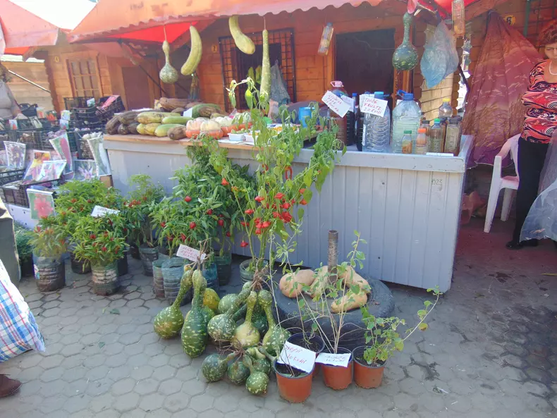 targ toamna preturi hora mici pastrama (23)