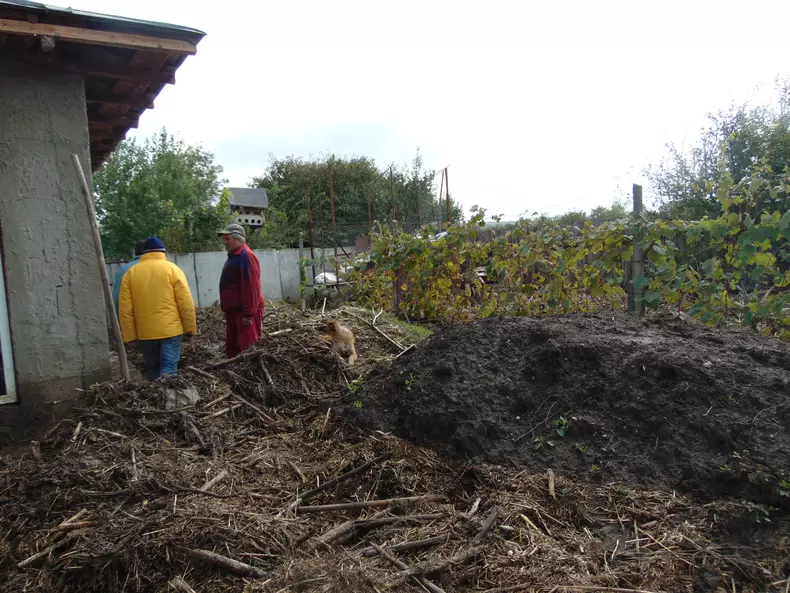 curtea lui ifrim pechea 3 (20)