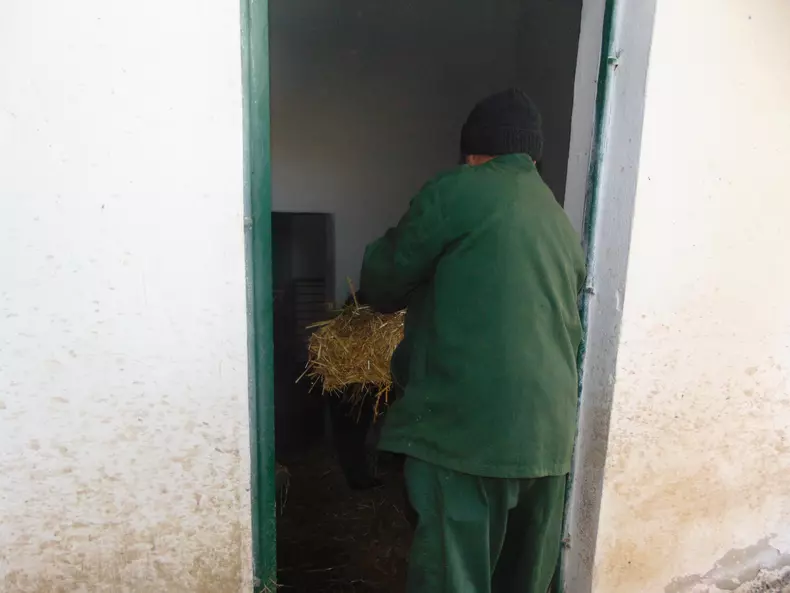 pregatest paie multe ptr ursi zoo (67)