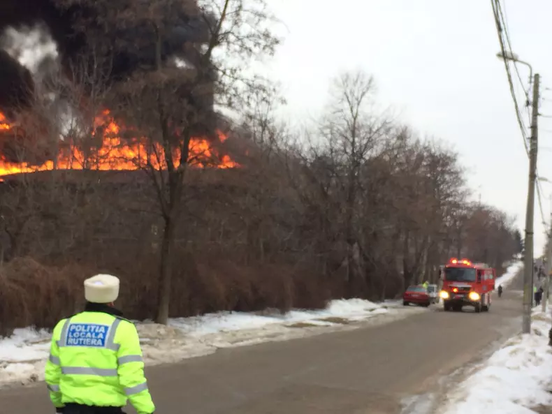 incendiu botosani 3