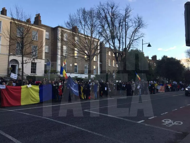 16522375_1214209681947412_72253636_o