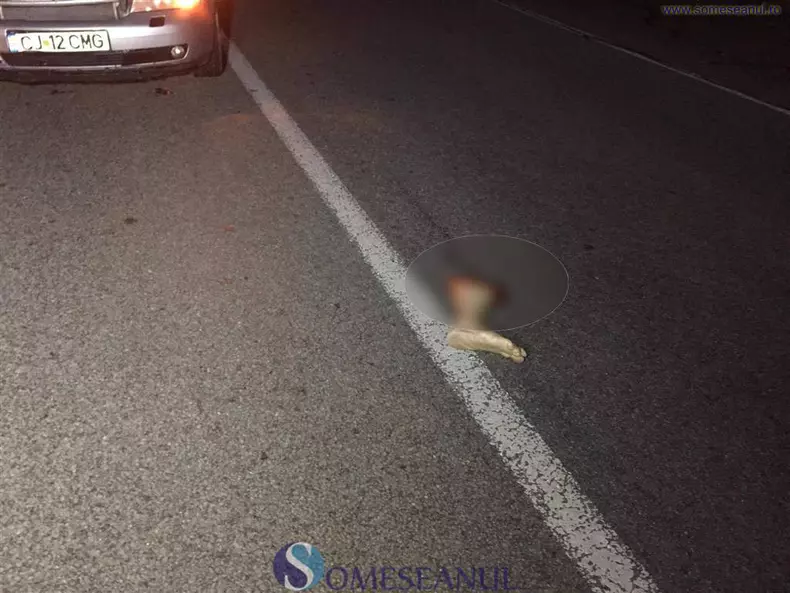 someseanul-pieton-accidentat-mortal-iclod-2