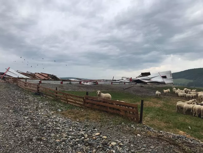 bistrita-furtuna-lechinta-26-iun-17-timponline.ro (10)