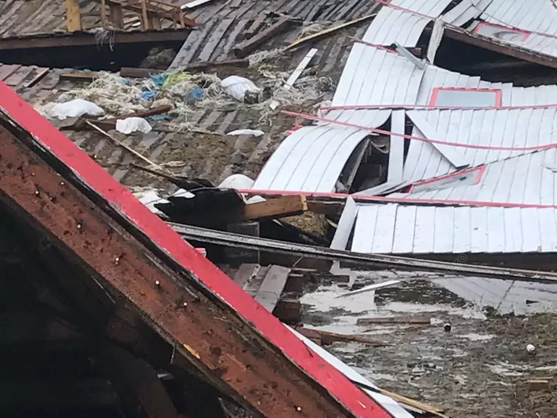 bistrita-furtuna-lechinta-26-iun-17-timponline.ro (9)