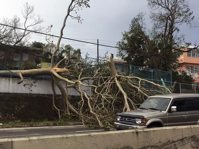 Hurricane Maria aftermath in Puerto Rico