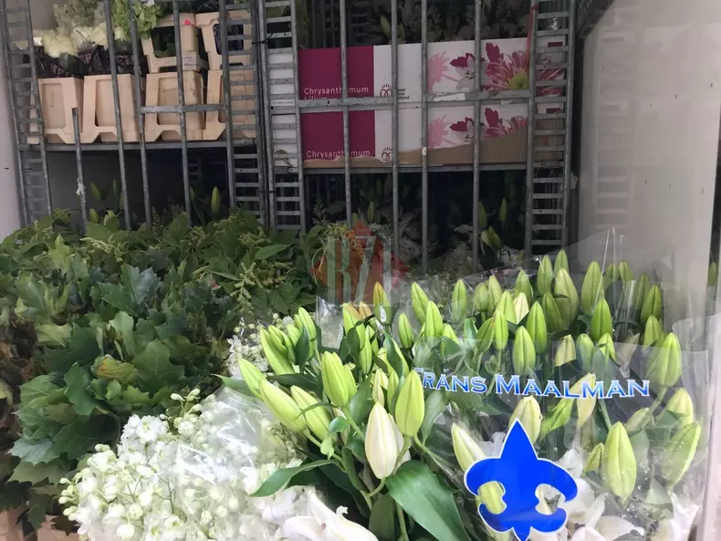 Baldachinul cu racla Sfintei Parascheva (9)