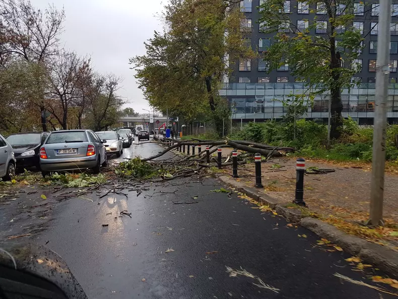 Cod galben de furtună în București