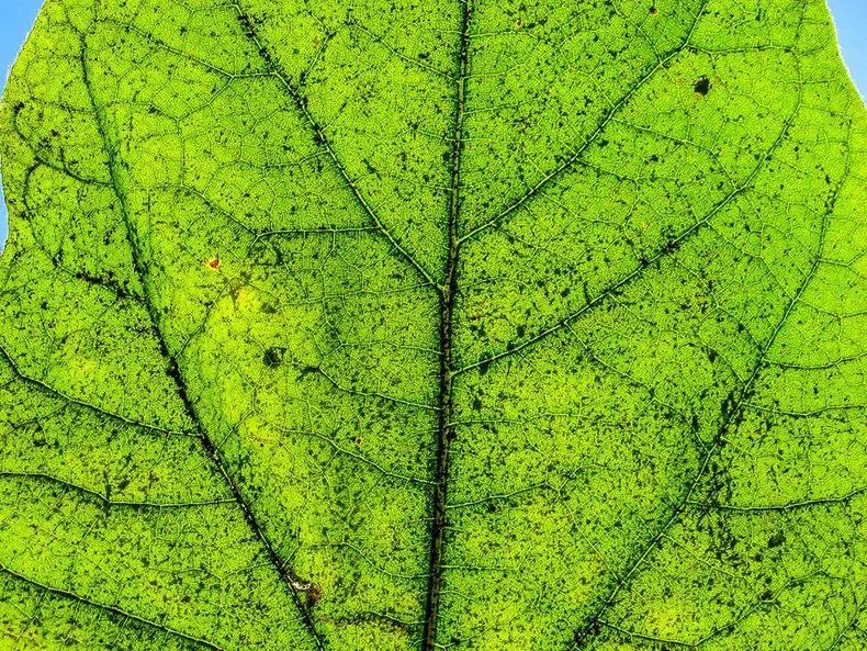 love is all we need expozitie 11