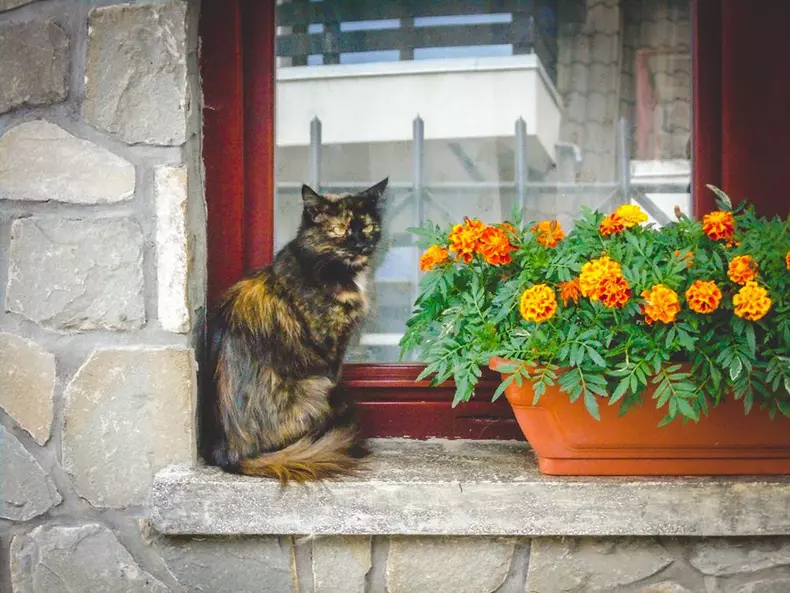 love is all we need expozitie 3