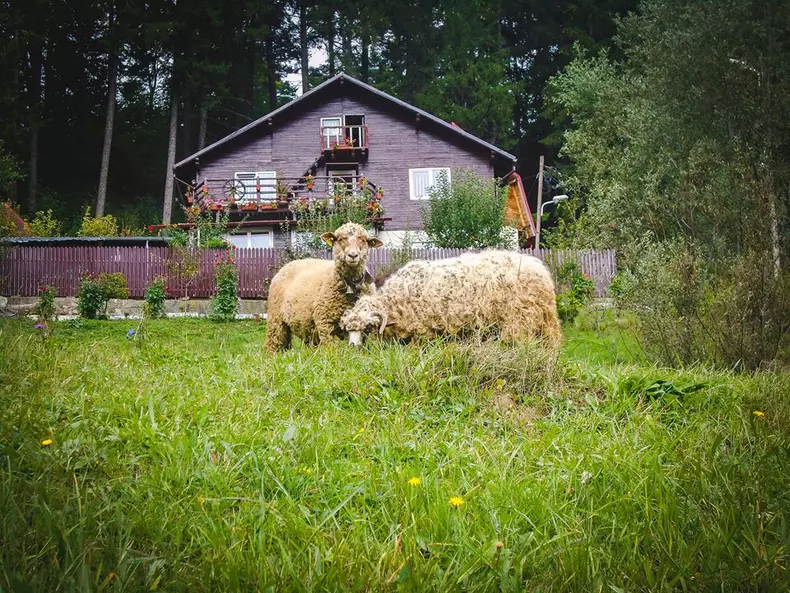 love is all we need expozitie 4