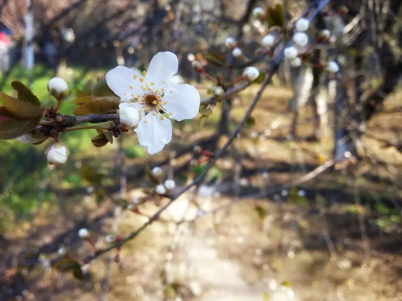 love is all we need expozitie 6