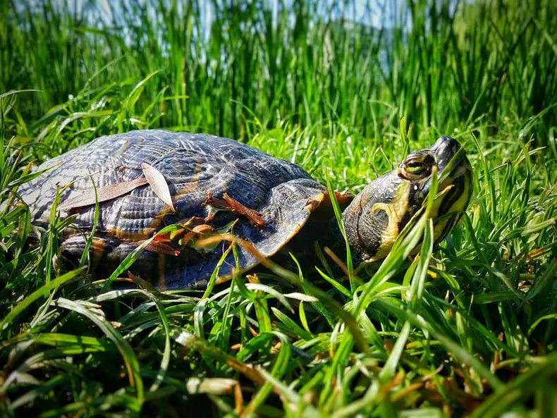 love is all we need expozitie 8