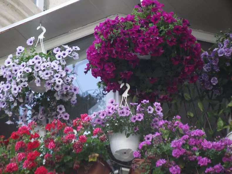 cel mai frumos balcon vara3