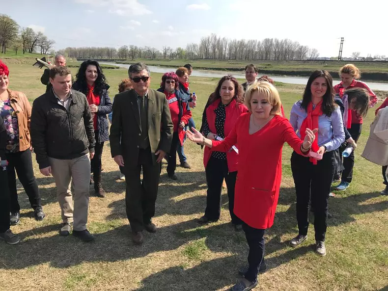 17553750_1382645818445045_8673590587264029436_n