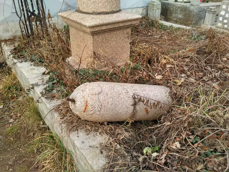 viisoara 1