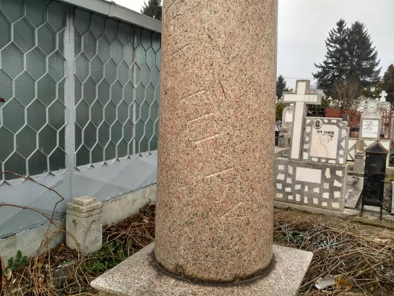 viisoara 10