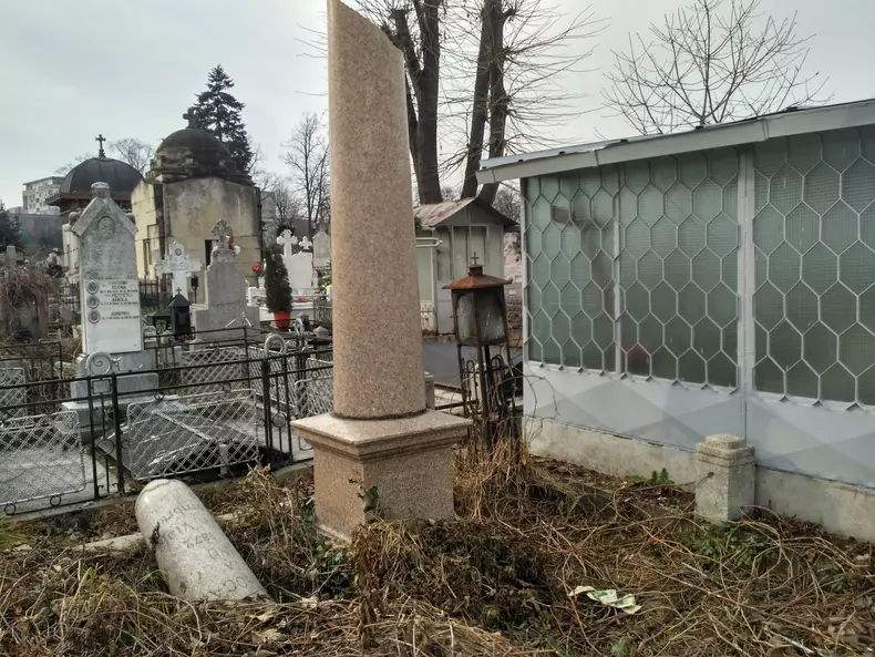 viisoara 4