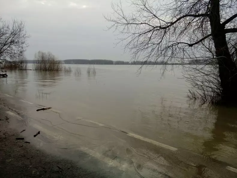 Dunărea a început să scadă la Galaţi. E prima dată în ultimele săptămâni