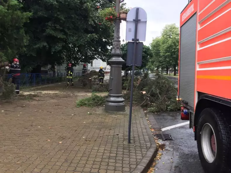 copaci cazuti Arad-furtuna3