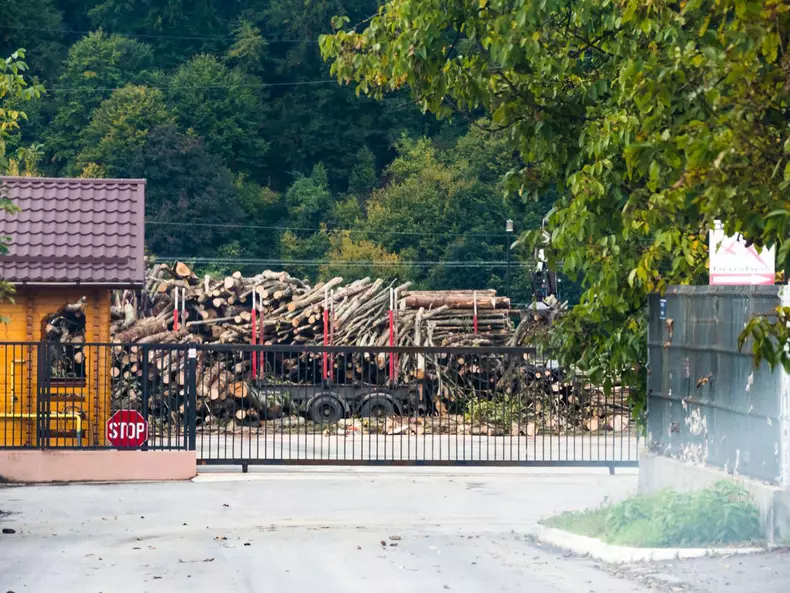 defrisari paduri romania (5)