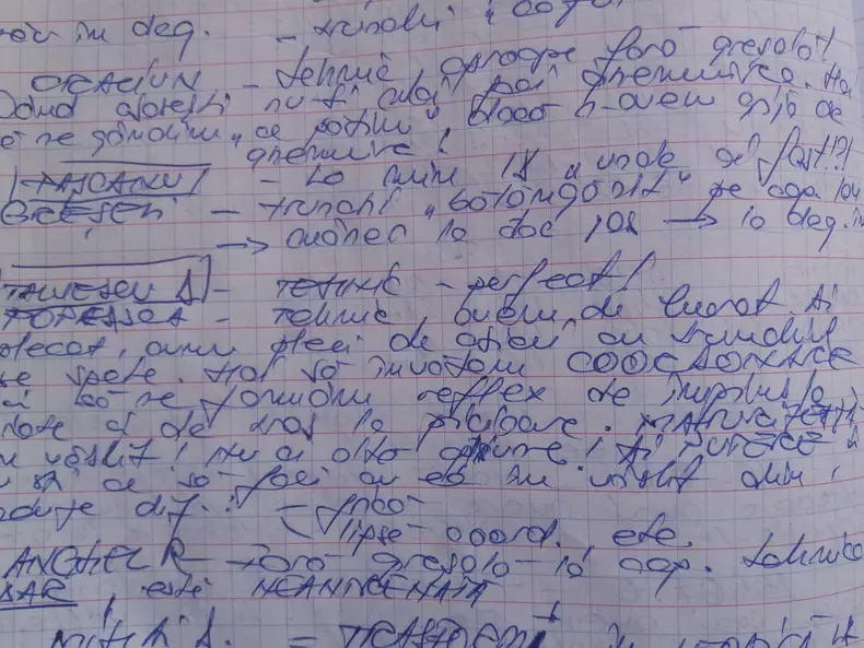 38689035_273646310092056_5778634830388396032_n