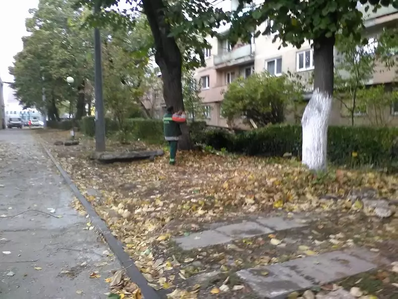 Acoperișurile mai multor blocuri din Satu Mare, smulse de vântul puternic (6)