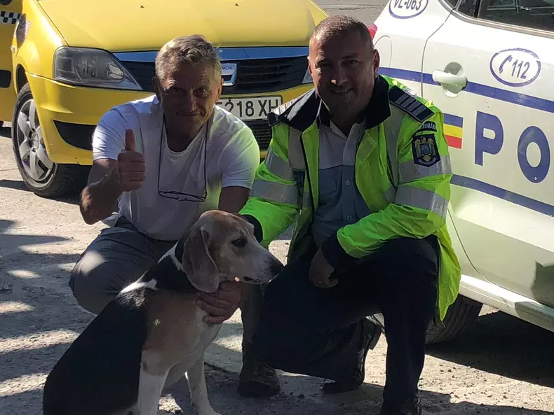 stoenete, rusul si cainele