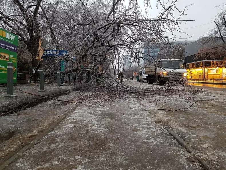 50631286_417094129049962_2980602875589165056_n